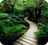 reglamento impuesto sociedades