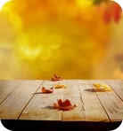 Firma certificado FNMT