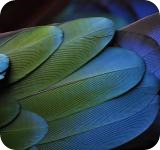 intereses demora tributos