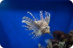 Ley Trabajo Autónomo