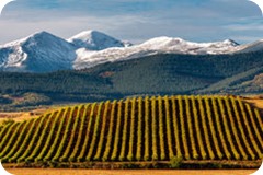 asesor medidas fiscales rioja