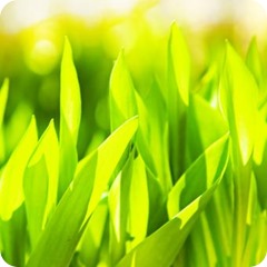 operaciones plazo tributos