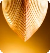 asesor dividendos sociedades