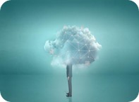 asesor dividendo socio