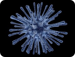 Coronavirus. Medidas Urgentes. RDL 7/2020.