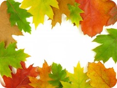 Asesor pagos sociedades